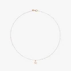 Collana in oro rosa e oro bianco rodiato con Stellina